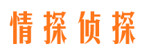 牟定侦探